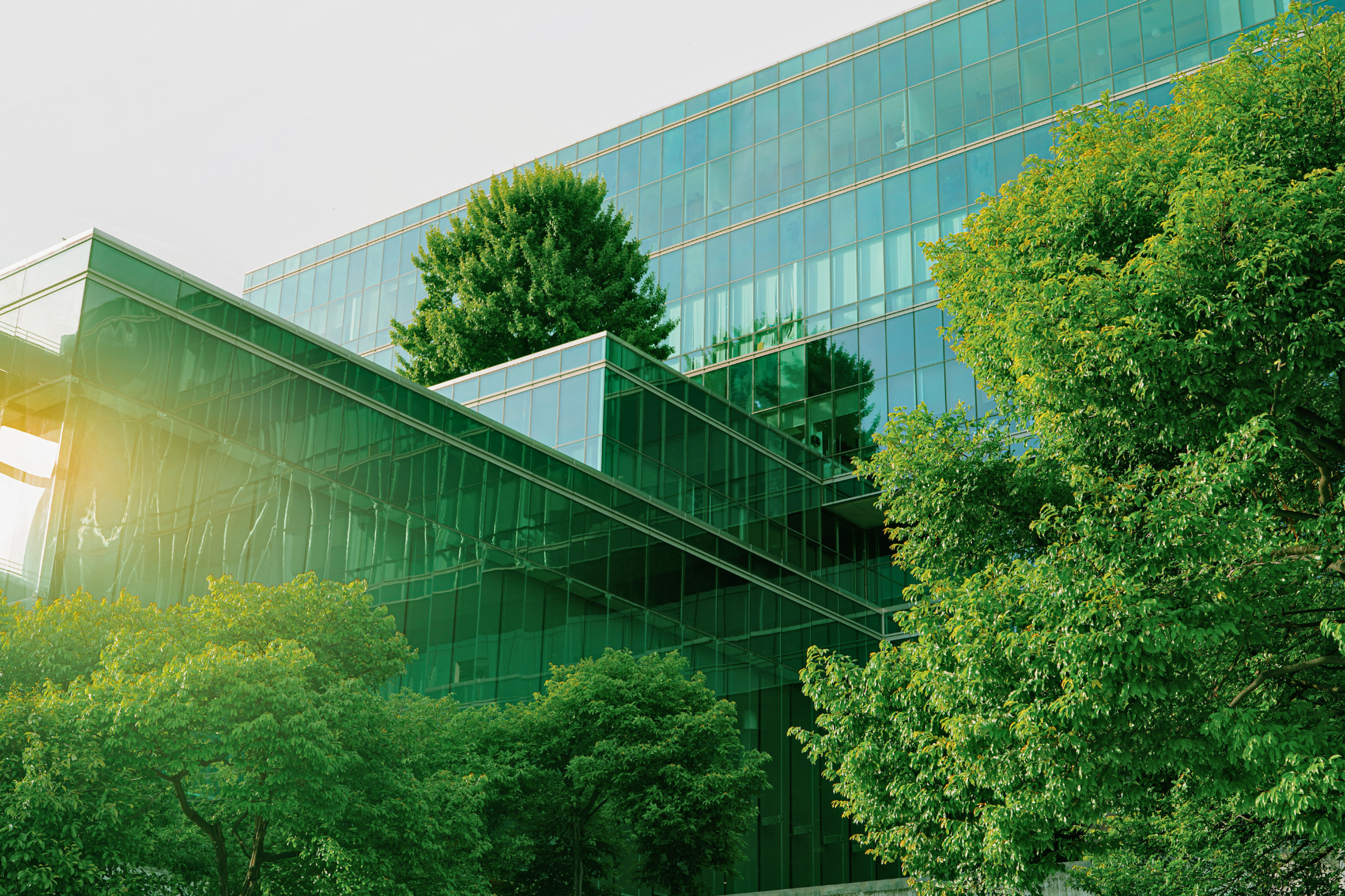 A large corporate building made entirely of glass is surrounded by lush, green trees, which are also reflecting off of the building’s windows.
